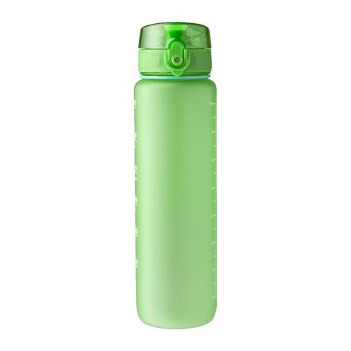 BRINLEY - rPET-Trinkflasche (1000 ml) 