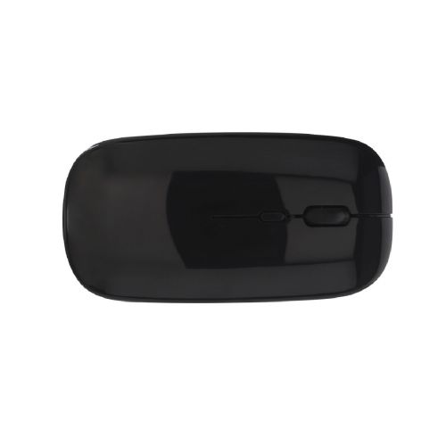 CHESTIR RCS - Maus