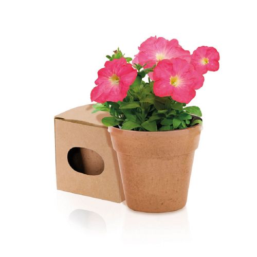 ADVERT - Blumentopf