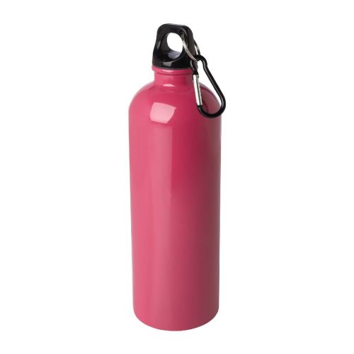 OREGON -  750 ml RCS-zertifizierte, einwandige Trinkflasche aus Edelstahl mit Karabinerhaken