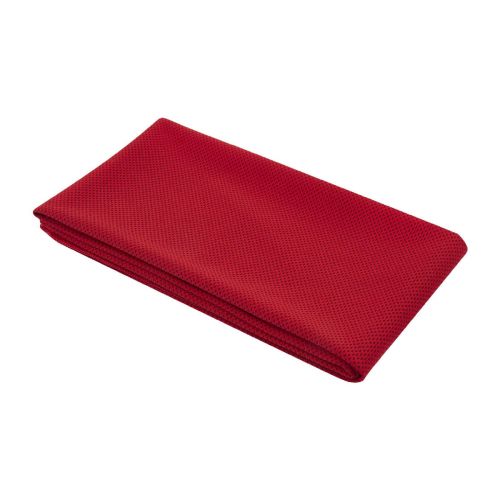 ALTHEA -  Sporthandtuch 50 × 100 cm