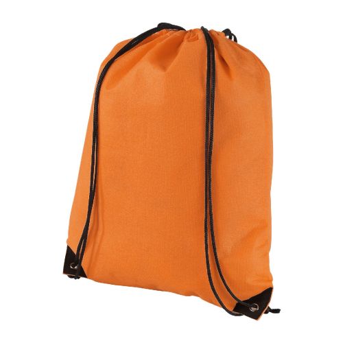 EVERGREEN -  Premium Non Woven Turnbeutel 5L