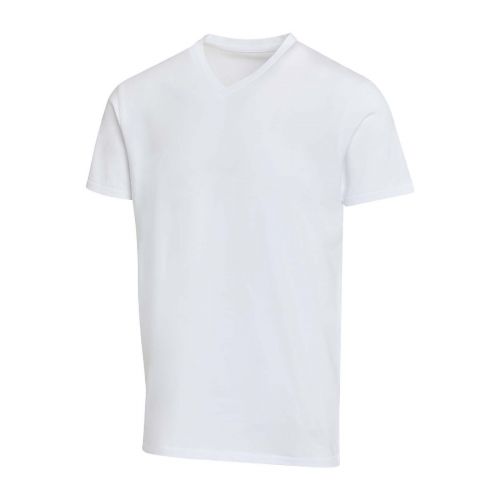 BALFOUR -  Kurzärmeliges T-Shirt V-Ausschnitt aus 200 g/m² Bio Baumwolle (OCS), unisex