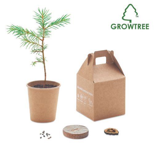 GROWTREE™ - Kiefernsamen-set