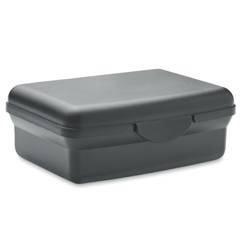 CARMANY - Lunchbox pp 800ml