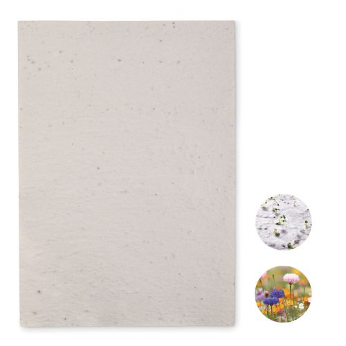 ASIDI - Din a4 wildblumen-samenpapier
