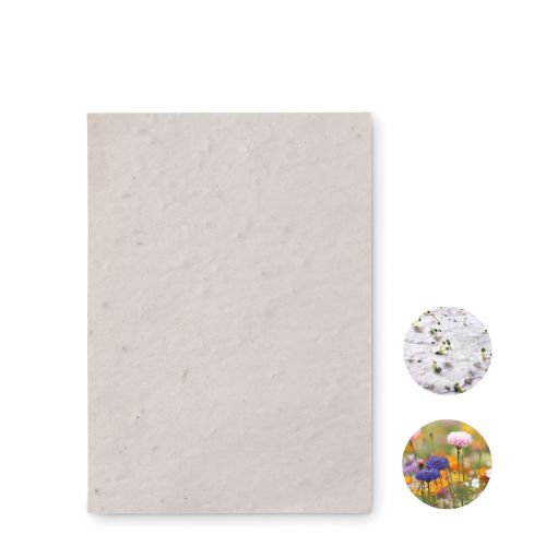 ASIDO - Din a6 wildblumen-samenpapier
