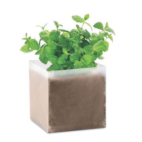 MINT - Pflanz-set "minze"