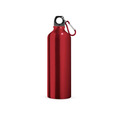 LANDSCAPE L - Aluminium-Sportflasche mit Karabiner 800 ml