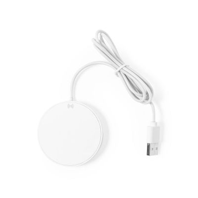 DIXLEM RCS - Ladegerät