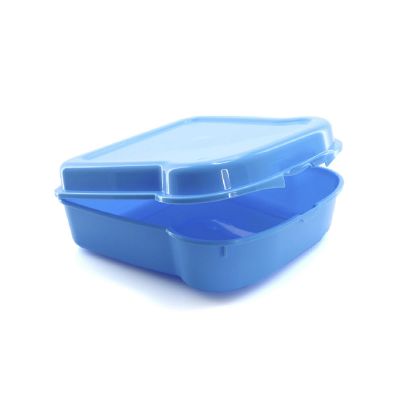 NOIX - Sandwich Lunch Box