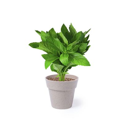 NERTEL - Blumentopf Set