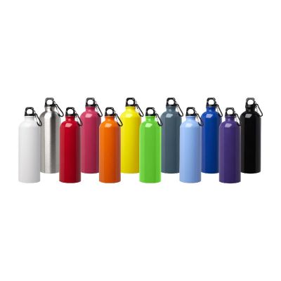OREGON - 750 ml RCS-zertifizierte, einwandige Trinkflasche aus Edelstahl mit Karabinerhaken