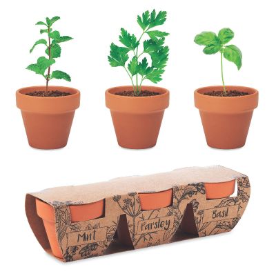 FLOWERPOT - Terracotta-set kräuter