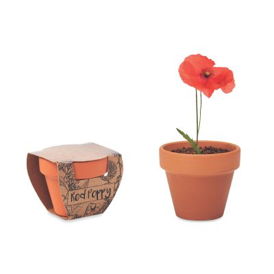 RED POPPY - Terracotta-topf mohnblume