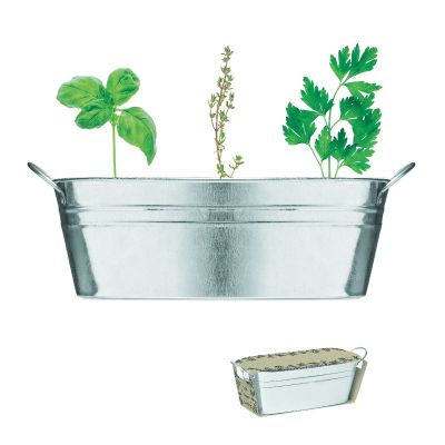 MIX SEEDS - Zink-pflanzkübel