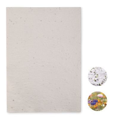 ASIDI - Din a4 wildblumen-samenpapier