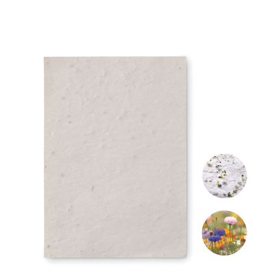 ASIDO - Din a6 wildblumen-samenpapier