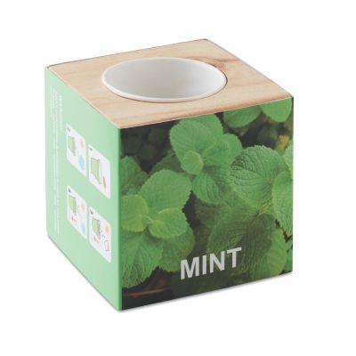 MENTA - Kräuterpflanz-set