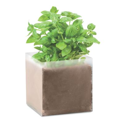 BASIL - Pflanz-set 