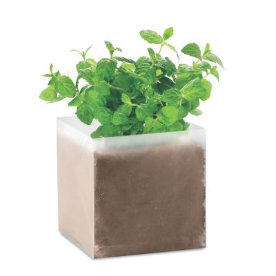 MINT - Pflanz-set 