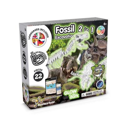 2 in 1 Fossil Excavation Kit I - Lernspiel für Kinder