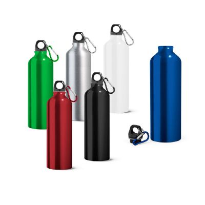 LANDSCAPE L - Aluminium-Sportflasche mit Karabiner 800 ml