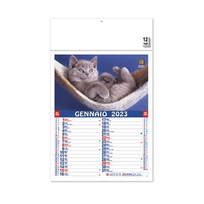 PET - kalender Kätzen und Hunde