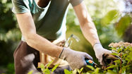 Gartenartikel bedrucken