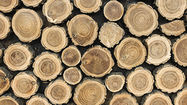 Werbegeschenke aus Holz bedrucken
